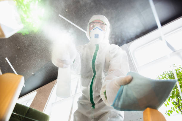 Best Sewage cleanup and water damage restoration  in Lexington, MI